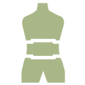 corps vert